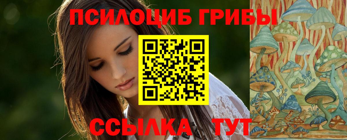 Галлюциногенные грибы мицелий Вязники