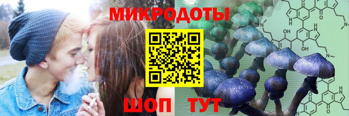 купить наркоту  Галлюциногенные грибы Psilocybe  Вход с VPN  Вязники 
